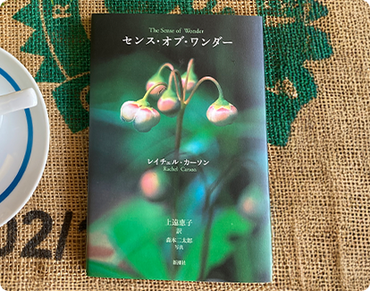 Greeting 『The Sense of Wonder』