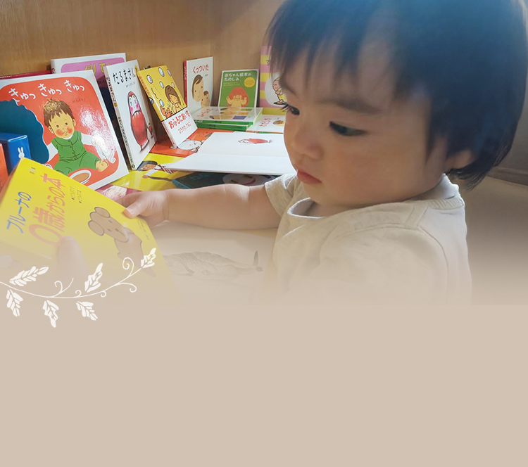 Books&cafe Wonderland