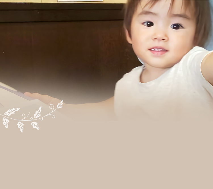 Books&cafe Wonderland